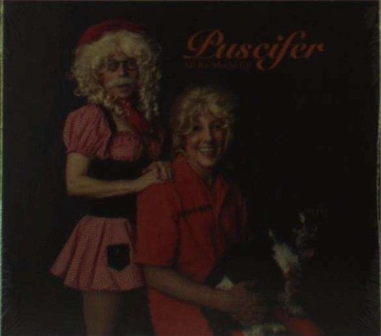 Cover for Puscifer · All Re Mixed Up (CD) (2013)