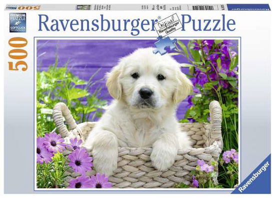 Cover for Ravensburger · Puzzel Schattige Golden Retriever: 500 stukjes (148295) (Leketøy) (2020)