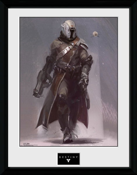 Cover for Destiny · Destiny - Warlock (Stampa In Cornice 30x40 Cm) (MERCH)