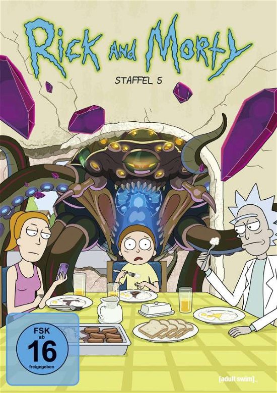 Cover for Keine Informationen · Rick &amp; Morty-staffel 5 (DVD) (2022)