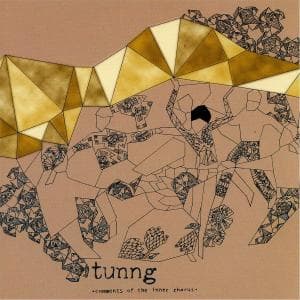 Cover for Tunng · Comments of the Inner Chorus (CD) (2007)