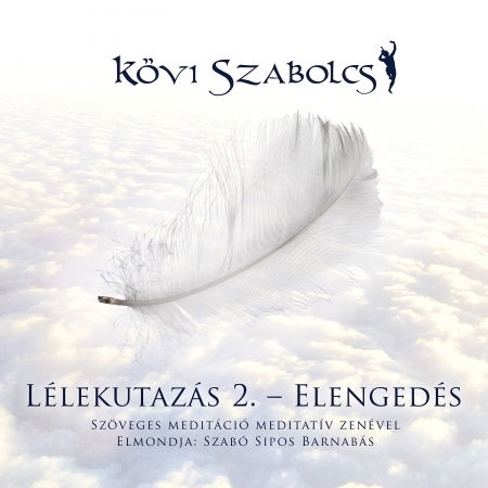 Cover for Szabolcs Koevi · Pansipon 2 (CD)