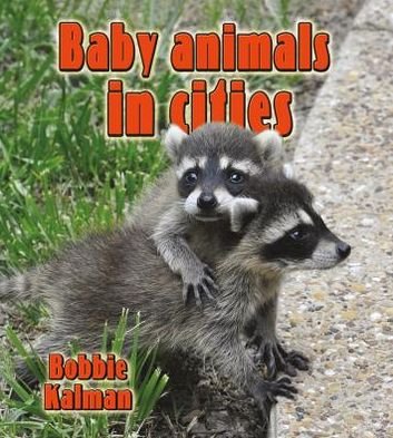 Cover for Bobbie Kalman · Baby Animals in Cities - The Habitats of Baby Animals (Paperback Book) (2013)