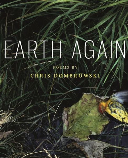 Cover for Chris Dombrowski · Earth Again: Poems - Made in Michigan Writers Series (Paperback Book) (2013)