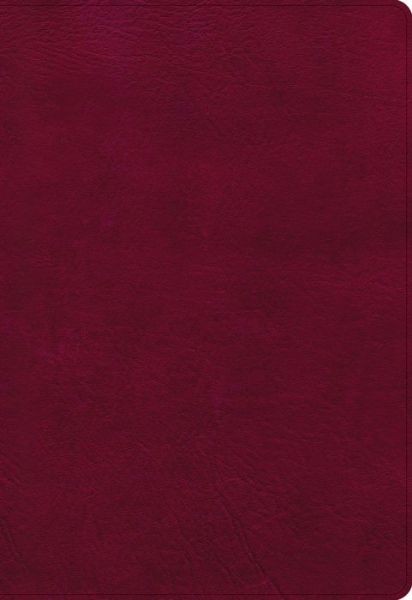 Cover for Holman Bible Publishers · NASB Super Giant Print Reference Bible, Burgundy (Leather Book) (2022)