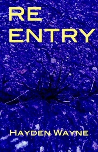 Cover for Hayden Wayne · Re Entry (Pocketbok) (2016)