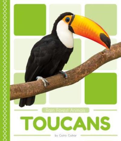 Cover for Golriz Golkar · Toucans (Hardcover Book) (2018)