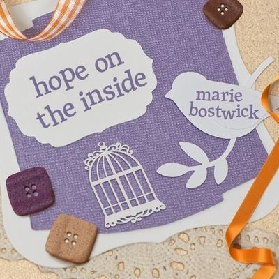 Cover for Marie Bostwick · Hope on the Inside (CD) (2019)