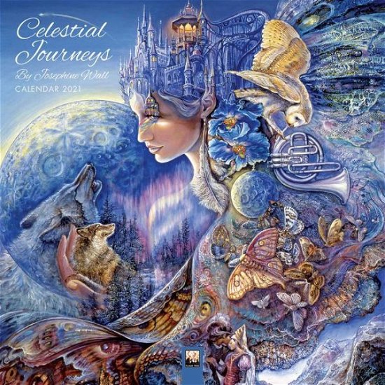Cover for Wall · Celestial Journey 2021 (Calendar) [New edition] (2020)