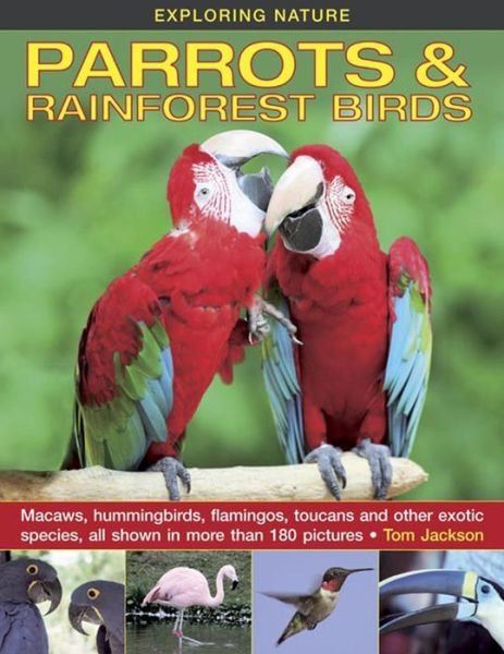Cover for Tom Jackson · Exploring Nature: Parrots &amp; Rainforest Birds (Innbunden bok) (2014)