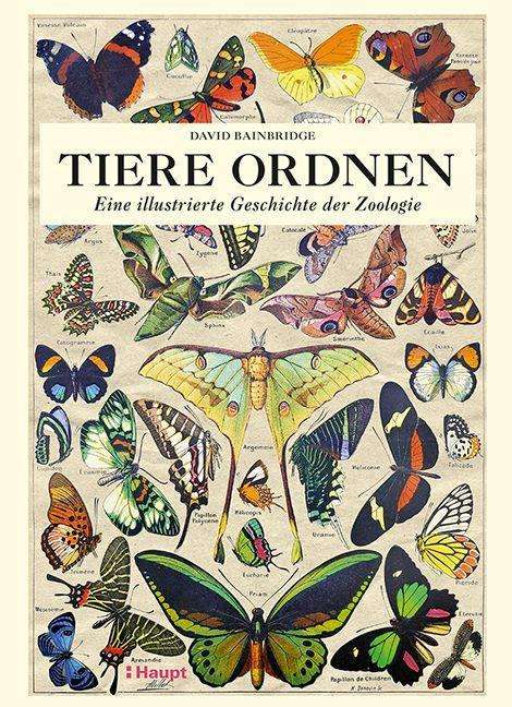 Cover for David Bainbridge · Tiere ordnen (Hardcover Book) (2021)