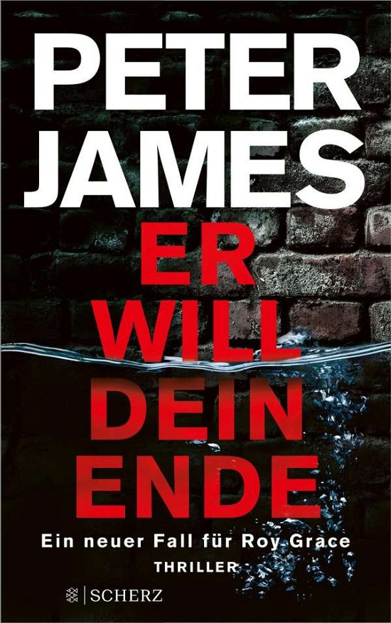Cover for Peter James · Er will dein Ende (Taschenbuch) (2021)