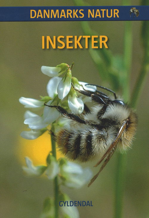 Cover for Lars Serritslev · Danmarks Natur: DANMARKS NATUR Insekter (Sewn Spine Book) [1. wydanie] (2010)