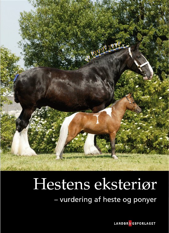Cover for Jørgen Finderup og Jørgen Falk-Rønne · Hestens eksteriør (Taschenbuch) [1. Ausgabe] (2010)