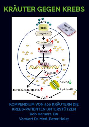 Cover for Rob Hamers · Kräuter gegen Krebs (Pocketbok) (2022)