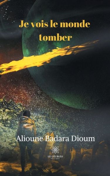 Cover for Alioune Badara Dioum · Je vois le monde tomber (Paperback Book) (2020)