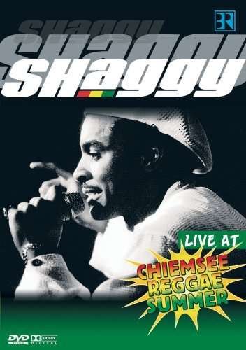 Cover for Shaggy · Live at Chiemsee Reggae Summer (DVD) (2008)