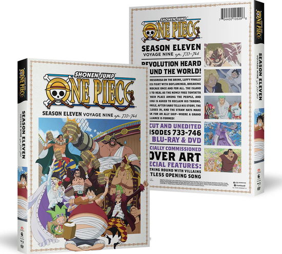 One Piece - Season 11 Voyage 9 - Blu-ray - Movies - ANIME; ACTION; ADVENTURE; COMEDY; FANTAS - 0704400105296 - July 5, 2022