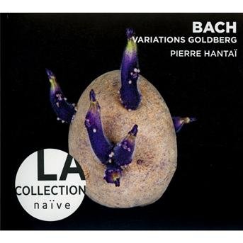 Cover for Bach · Goldeberg Variations / Pierre Hantai (CD) (2013)