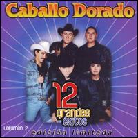 Vol. 2-12 Grandes Exitos - Caballo Dorado - Muzyka - Warners - 0825646998296 - 5 czerwca 2007