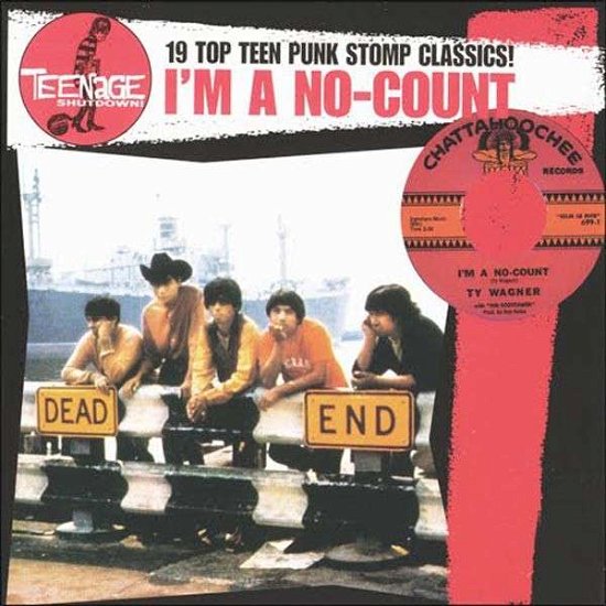 Various Artists · Teenage Shut Down - I'm No-Count (Vinyl LP) (LP) (2023)