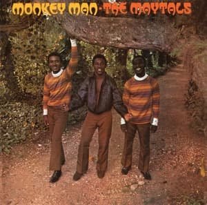 Cover for Maytals · Monkey Man (LP) (2017)