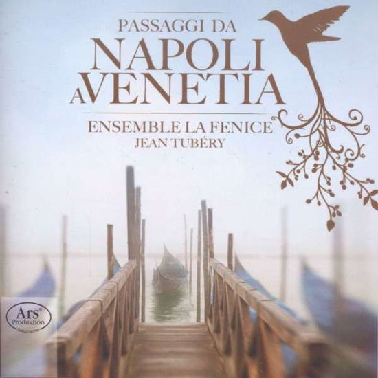 Passaggi Da Napoli a Venetia - Merula / Caccini / Lasso / Rognoni / Picchi - Musik - ARS - 4260052385296 - 28. oktober 2014