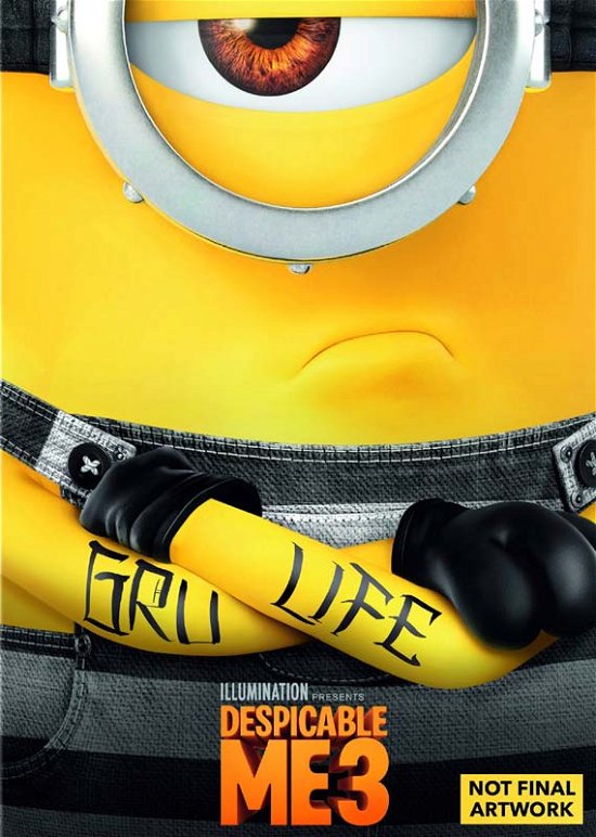 Cover for Despicable Me 3 (DVD) (2017)