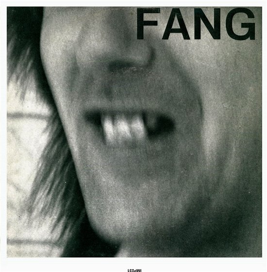 Cover for Fang · Enjoy the View (LP)