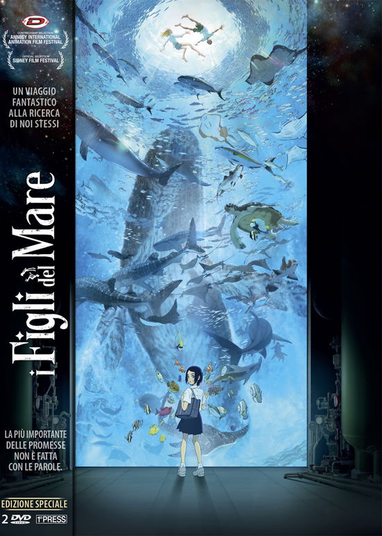 Cover for Animazione Giapponese · Figli Del Mare (I) (2 Dvd) (First Press) (DVD) (2020)