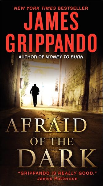 Cover for James Grippando · Afraid of the Dark - Jack Swyteck Novel (Paperback Book) (2011)