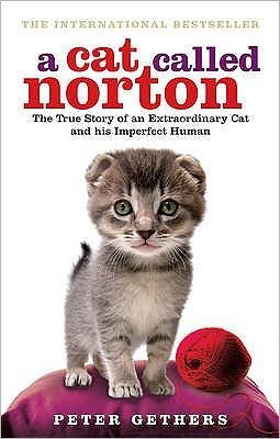 A Cat Called Norton - Peter Gethers - Livros - Ebury Publishing - 9780091933296 - 2 de julho de 2009