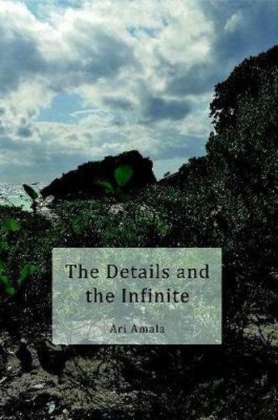 Cover for Ari Amala · The Details and the Infinite (Paperback Book) (2018)