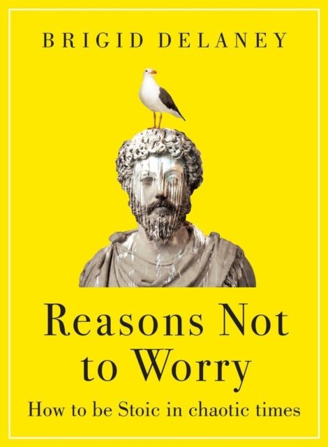 Cover for Brigid Delaney · Reasons Not to Worry: How to be Stoic in chaotic times (Hardcover Book) (2023)