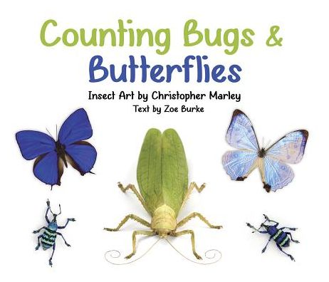 Cover for Zoe Burke · Counting Bugs &amp; Butterflies Insect Art by Christopher Marley Board Book (Board book) (2016)