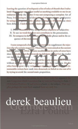 Cover for Derek Beaulieu · How to Write (Paperback Book) (2010)