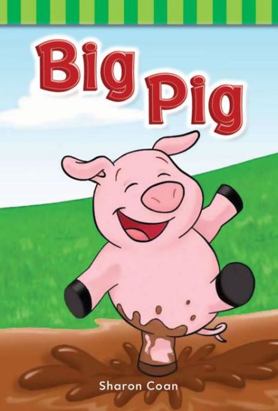 Cover for Sharon Coan · Big Pig (Targeted Phonics: Short I) (Paperback Book) (2012)