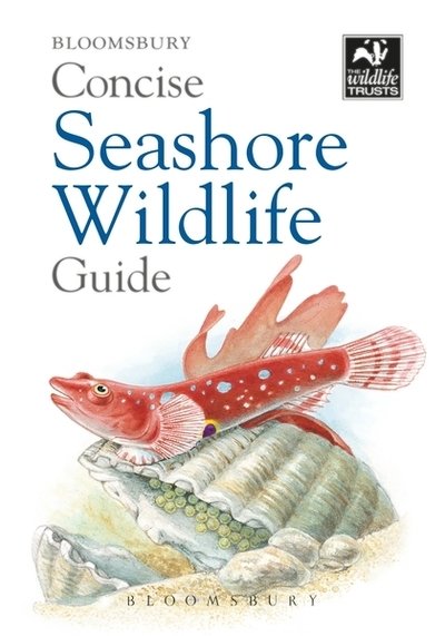 Cover for Bloomsbury · Concise Seashore Wildlife Guide - Concise Guides (Paperback Book) (2019)