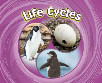 Life Cycles - Cycles of Nature - Jaclyn Jaycox - Kirjat - Capstone Global Library Ltd - 9781474795296 - torstai 4. helmikuuta 2021