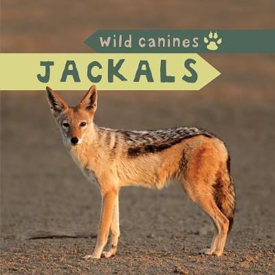 Jackals - David Lee - Books - PowerKids Press - 9781499420296 - July 31, 2016