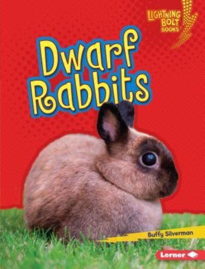 Cover for Buffy Silverman · Dwarf Rabbits (Book) (2018)