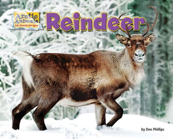 Cover for Dee Phillips · Reindeer (Book) (2015)