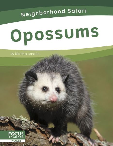 Cover for Martha London · Opossums - Neighborhood Safari (Paperback Book) (2020)