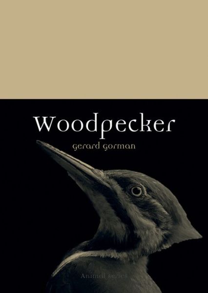 Cover for Gerard Gorman · Woodpecker - Animal (Pocketbok) (2017)