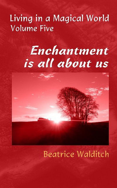 Cover for Beatrice Walditch · Enchantment is All About Us - Living in a Magical World (Paperback Book) (2016)