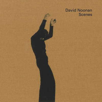 Cover for Jennifer Higgie · David Noonan: Scenes (Hardcover Book) (2009)