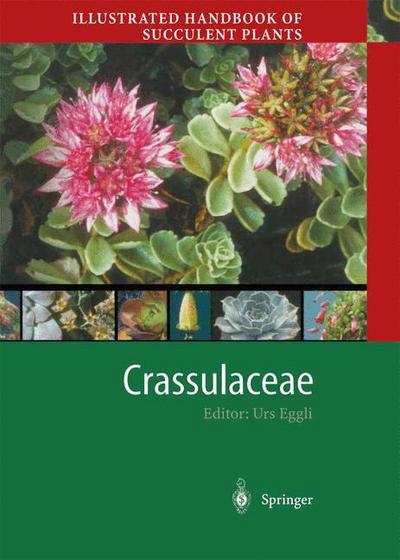 Cover for Urs Eggli · Illustrated Handbook of Succulent Plants: Crassulaceae - Illustrated Handbook of Succulent Plants (Paperback Book) [Softcover reprint of the original 1st ed. 2003 edition] (2012)