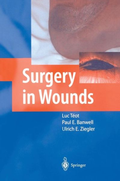 Cover for Luc Teot · Surgery in Wounds (Paperback Book) [Softcover reprint of the original 1st ed. 2004 edition] (2011)