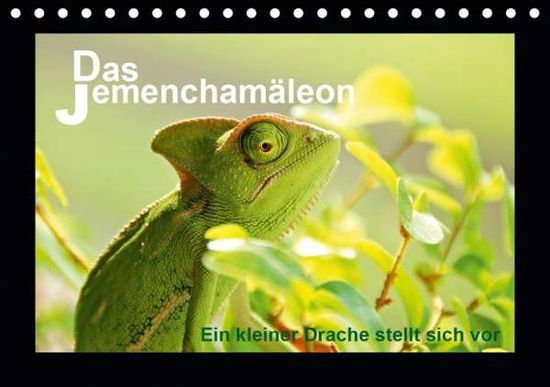 Cover for Düll · Das Jemenchamäleon (Tischkalender (Bok)