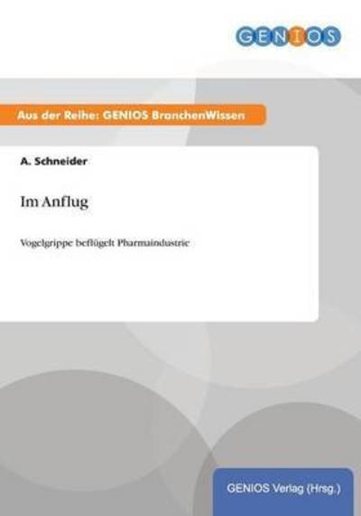 Im Anflug - A Schneider - Boeken - Gbi-Genios Verlag - 9783737951296 - 15 juli 2015
